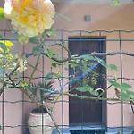 Azalea Lejlighed