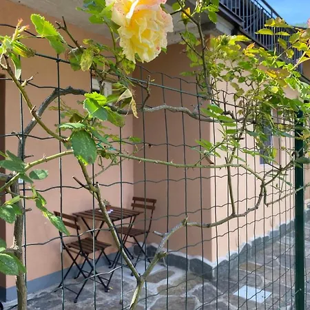 Appartamento Azalea