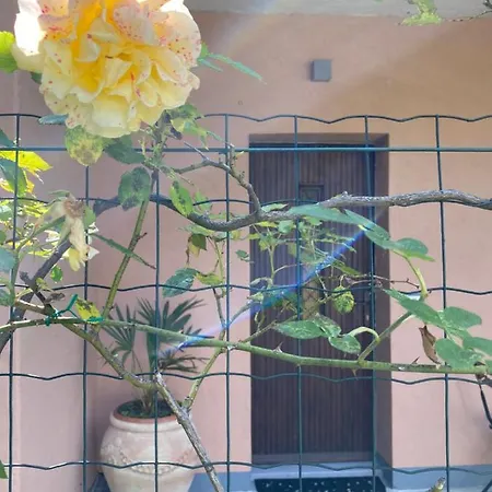 Azalea Appartamento